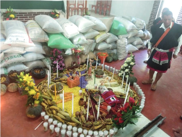 Altar maya tzeltal. Ofrenda del café, símbolo de abundancia de la cosecha.