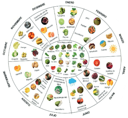 Calendario del ciclo agrícola del huerto