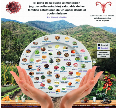 El plato de la agroecoalimentación saludable de las familias cafetaleras de Chiapas