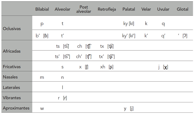 Inventario fonológico de consonantes del mam