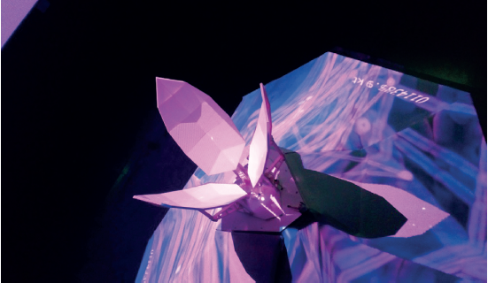 2007-8900-liminar-18-02-758-f4.png